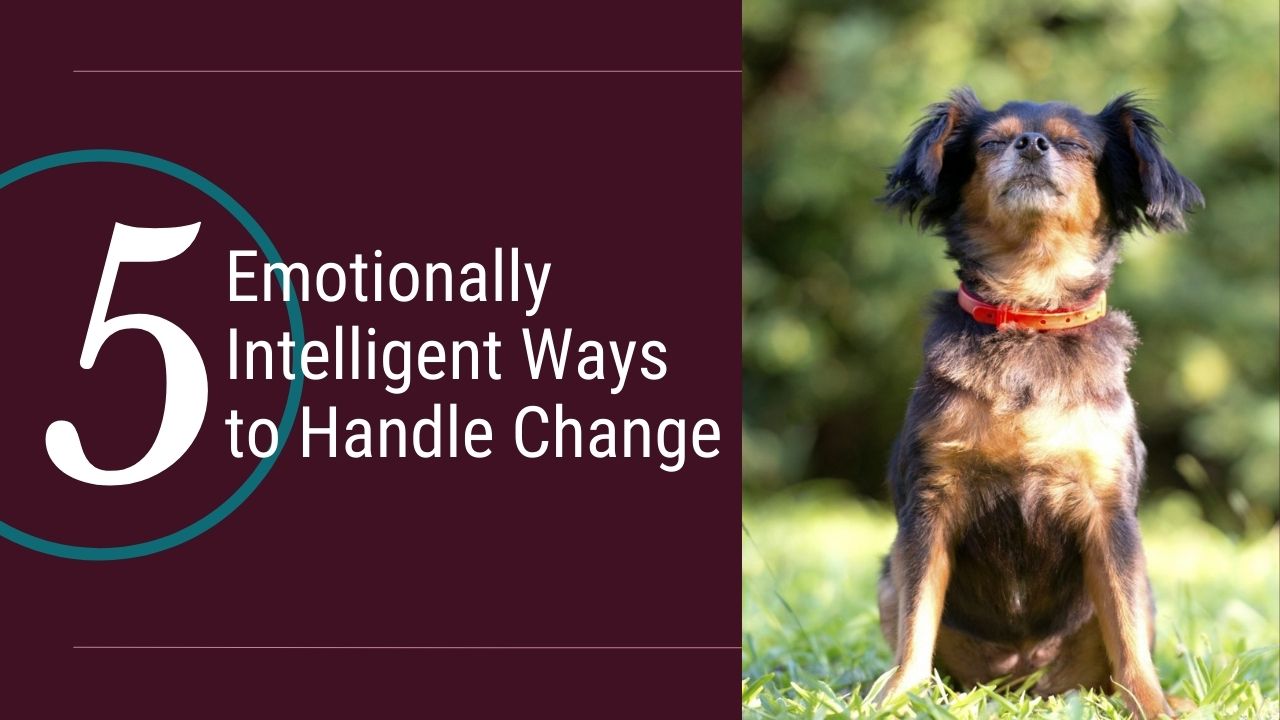 5 Emotionally Intelligent Ways to Handle Change
