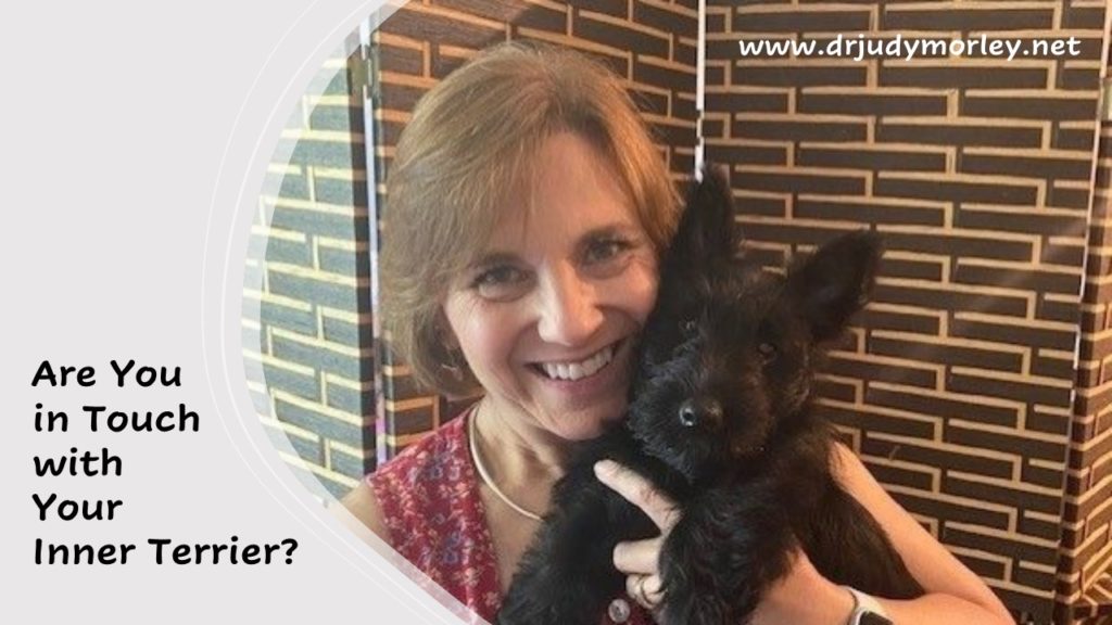 Are you in touch with your inner terrier?